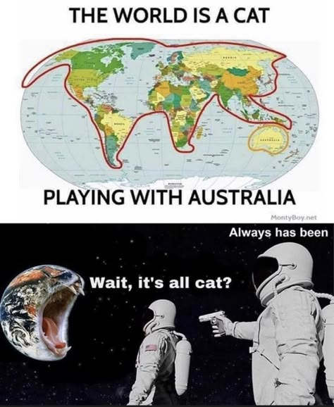 Cat Playing With Australia, Always Has Been, Funny Content, Social Games, Funny Video Memes, Really Funny Joke, Cat Playing, Really Funny Pictures, Really Funny Memes