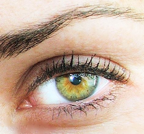 Hazel eyes are one of the least understood eye colors. This color is semi-rare and is a combination of several other colors including green and brown. Hazel eyes have less melanin than brown eyes, but more than blue eyes. Hazel eyes often appear to shift in color from brown to green. Hazel eyes are a combination of Rayleigh scattering, the principle that makes the sky and blue eyes appear blue, and melanin, the pigment that makes brown eyes brown. Brown Hazel Eyes, Green Hazel Eyes, Eyes Hazel, Hazel Green Eyes, Hazel Green, How To Make Brown, Eyes Brown, Hazel Eyes, Makeup For Green Eyes