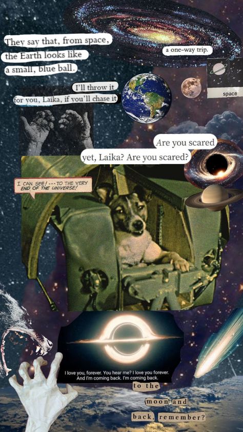 Laika Space Dog, Soviet Space Dogs, Athena Aesthetic, Laika Dog, Space Dog, Dog Wallpaper, Very Inspirational Quotes, Phone Themes, Cool Wallpaper