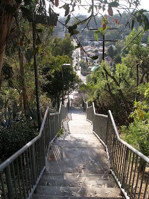 Echo Park stairways, Avalon East Echo Park Lake, Stair Cases, Los Angeles Parks, Los Angeles City, Vintage Los Angeles, Catalina Island, California Love, City Of Angels, Stairway To Heaven