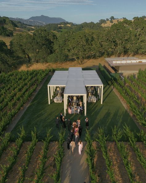 Dream weddings come to life under Hensley Event Resources’ pavilions at Montage Healdsburg! 💍✨ Create unforgettable moments in this breathtaking venue. #eventplanning #weddingday #eventplanner #eventdesign #weddingphotography #bride #design #california #luxurylifestyle #party #eventdecor #atrium #money #architecture #hensleyeventresources #pavilions #hensleypavilions #montagehealdsburg #partyrentals Planning and Design: @emilycoyneevents Pavilions: @hensleyeventresources Photography: @anyak... Montage Healdsburg, Farm Cafe, Event Venue Spaces, Pavilion Wedding, Party Rentals, Event Planner, Event Venues, Country House, Event Decor