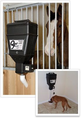 Livestock Feeders | Wall Mounted Feeders | Automatic Feeders Pig Waterer, Goat Feeder, Horse Feeder, Dogs Diy Projects, Automatic Feeder, Dog Kennels, Pet Hotel, Horse Feed, Dog Kennel Outdoor