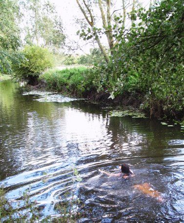 Generation Artisan: Wild swimming in the River Ray at Islip Bathing In River Aesthetic, Anima Animus, Anima And Animus, All The Bright Places, Wild Swimming, Swimming Holes, Open Water, Summer Bucket, Make A Change