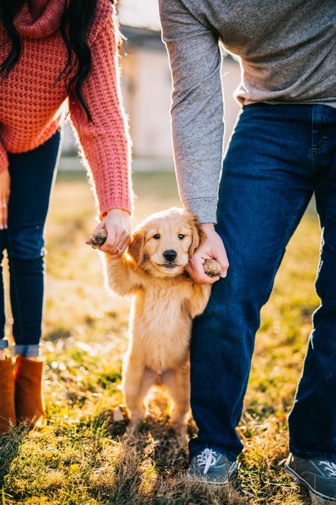 Family Picture With Dog Ideas, Doggie Photoshoot Ideas, With Dog Photography, Pup Photoshoot, Photoshoot Ideas For Dogs, Puppy Pics Ideas, Puppy And Me Photoshoot, Photo Shoot For Dogs, Picture Ideas With Dogs