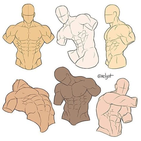 I decided to add some colors to the part A of my male torso studies. High resolution and version with custom notes will be available this… Chest Sketch, Male Torso Reference, Torso Studies, Anatomy Muscles, Male Torso Anatomy, Abs Art, Male Art Reference, Body Type Drawing, Drawing Anatomy