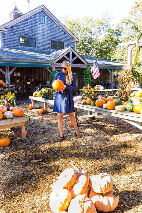 Fall is a Great Time to Visit Martha's Vineyard — Kristy & New England Martha’s Vineyard Outfits, Marthas Vineyard In The Fall, Fall In Nantucket, Autumn In The Vineyard Hallmark, Nantucket Fall, Cod Aesthetic, Martha Vineyard, Marthas Vineyard Edgartown, Cape Cod Aesthetic