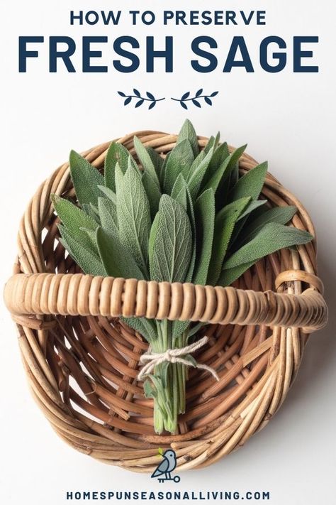 Preserve your fresh sage with one of these easy methods to eat it all winter long and use it for it's health benefits. Storing Fresh Sage, How To Freeze Sage Leaves, Preserving Sage Leaves, Sage Preserving, Preserving Fresh Sage, How To Preserve Sage, How To Preserve Fresh Sage, What To Do With Fresh Sage, Fresh Sage Uses