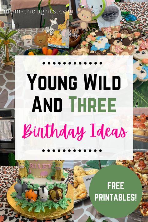 Three Year Old Birthday Party Theme, Wild And Three Party, Wild And Three Birthday Party, Three Birthday Party, Young Wild And Three Birthday, Third Birthday Boys, 3rd Birthday Party For Boy, Third Birthday Girl, Young Wild And Three