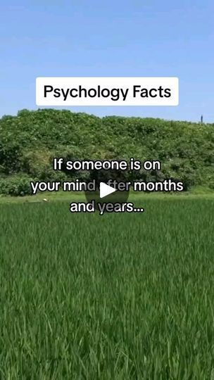 Scary Facts, Daily Facts, Love Friends, Love Facts, Science Facts, Psychology Facts, Self Love, Psychology, Fun Facts