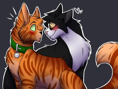 Jake And Tall Star, Warrior Cats Tallstar X Jake, Jake X Tallstar, Tallstar And Jake, Warrior Cats Ships, Warriors Erin Hunter, Warrior Cats Fanart, Wolf Comics, Cat Warrior