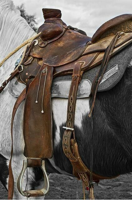 Cowboy Life, Cow Boys, Cowboy Stuff, Cowboy Pictures, Horse Photo, Western Saddles, Barrel Saddle, Cowboy Gear, Wilde Westen