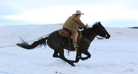 Emmie Sperandeo, Cowboy Lifestyle, Western Romance, Bad Job, Pretty Fly, Rodeo Life, Country Lifestyle, Awesome Animals, Out West