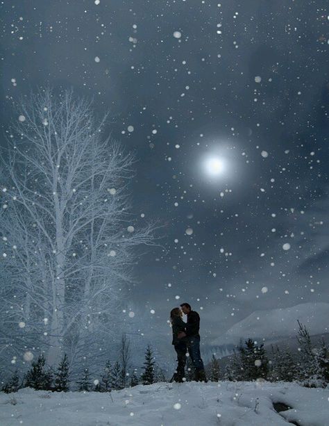 wp-1417880649319 Winter Schnee, Winter Magic, Santa Lucia, Winter Beauty, Beautiful Moon, Snow Scenes, Winter Wonder, Pics Art, Winter Scenes