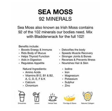 Luxury Botanics on Instagram: “The many benefits of to experience them click the link in my bio #seamoss #seamossbenefits #seamossgel #seamossgang #photooftheday,…” Seamoss Benefits For Women, Sarsaparilla Benefits, Seamoss Recipes, Sea Moss Benefits For Women, Quarter Goals, Seamoss Benefits, Iron Vitamin, Healthy Holistic Living, Food Tech