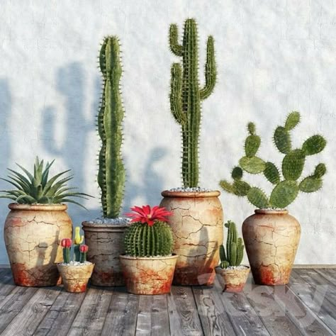 Cactus Garden Design, Mexican Resort, Resort Decor, Kaktus Dan Sukulen, Mexican Garden, Potted Cactus, Plant Pot Design, Pear Cactus, Cactus Decor