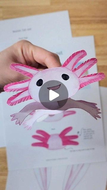 Learn about the Axolotl with our guide!  Origins, stories, and fun activities. Draw An Axolotl, Mexico Activities, Axolotl Drawing, Style Writing, Ancient Aztecs, Paw Design, Unit Study, Writing Prompt, Study Unit