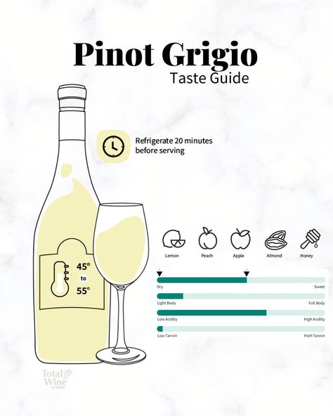 Light and Refreshing - explore the world of Pinot Grigio on our website! Tasting profile, pairing guide and more all from the experts at Total Wine & More. Pinot Gris Pairing, Basic Wine Guide, Wine Tasting Poster Design, Wine Differences Types Of, Wine Infographic, Wine Tasting Infographic, White Wine Grapes, Wine Facts, Wine Tasting Notes