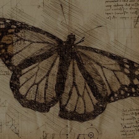 Mine Drawing, Drawing Butterfly, Phone Theme, Brown Aesthetic, Light Academia, I Am Here, Home Screen, Dark Academia, Aesthetic Art