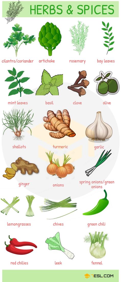 List of Herbs and Spices | Names of Spices and Herbs in English 19 Name Of Vegetables, Food Vocabulary, English Vocab, English Language Teaching, English Resources, English Course, English Tips, English Food, Learn English Vocabulary