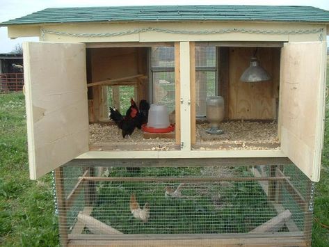 Serama coop Overez Chicken Coop, Shipping Crate Chicken Coop, Conex Box Chicken Coop, Serama Chicken Coop, Serama Chicken, Chicken Roaming Cage, Raising Quail, Chicken Keeping, Chicken Cages