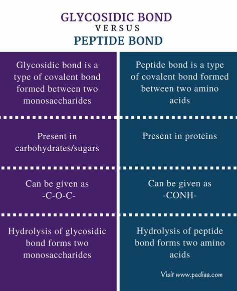 Peptide Bond, Med School Study, Learn Biology, Chemical Bond, Covalent Bonding, Nursing School Motivation, Nurse Study Notes, Study Board, Biology Notes