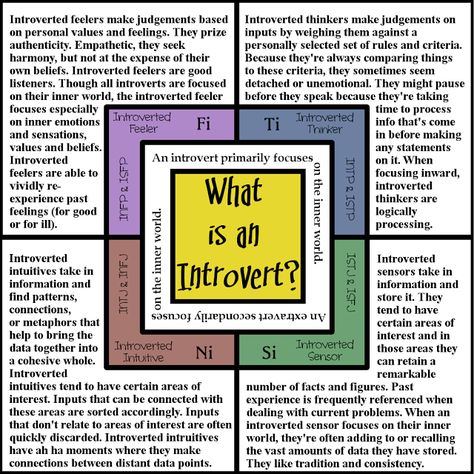 Want to know how to care for your introvert? First figure out what kind of introvert you're dealing with. What Is An Introvert, Introverted Sensing, Introverted Thinking, Intp Personality Type, Intp Personality, Personality Psychology, Introvert Problems, Personal Values, Extroverted Introvert