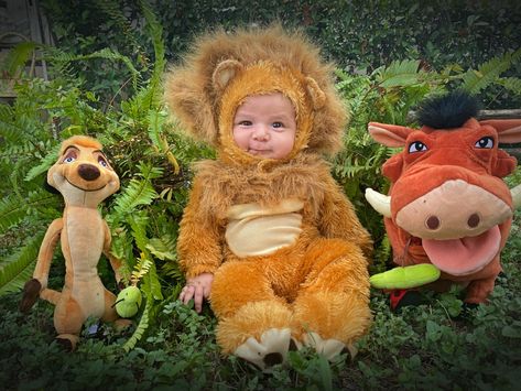 Simba Halloween Costume, Lion King Halloween Costume Family, Lion King Family Costume, Simba Toddler Costume, Lion King Newborn Photography, Newborn Lion Costume, Lion King Jr Costumes, Lion King Junior Costumes, Baby Lion Costume