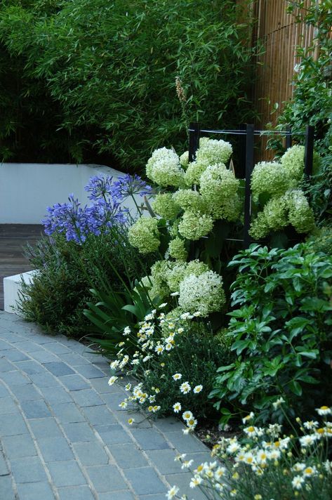 Easy Landscaping Front Yard, Design Garden Ideas, Hydrangea Landscaping, Backyard Garden Layout, Landscaping Retaining Walls, Gardening Design, Front Garden Design, Landscaping Flowers, Hydrangea Garden