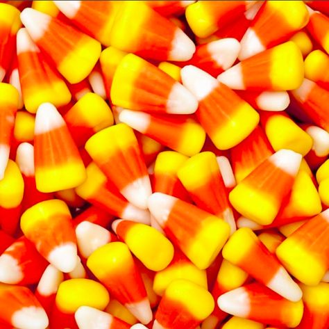 The Perfect Candy Corn Jell-O Shots For Your Halloween Party Worst Halloween Candy, Candy Corn Recipe, Brachs Candy, Dulces Halloween, Orange Things, What Is Halloween, Types Of Candy, Orange Candy, Retro Candy