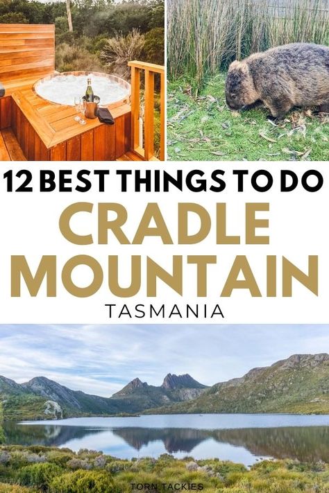 Things To Do In Tasmania, Hiking Bucket List, Cradle Mountain Tasmania, Tasmania Road Trip, Tasmania Travel, Cradle Mountain, Australia Trip, Australian Road Trip, 60th Bday