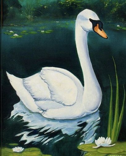 Swan Lake Illustration, Swan Drawing, Swan Pictures, Swan Painting, Image Halloween, Swans Art, Image Nature, Images Vintage, Bird Drawings