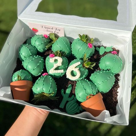 Cactus Strawberries, Cactus Cake Pops, Cactus Chocolate Covered Pretzels, Cactus Dessert Ideas, Frida Kahlo Chocolate Covered Strawberries, Cactus Chocolate Strawberries, Western Theme Chocolate Covered Strawberries, Fiesta Wedding Shower, Cactus Cake