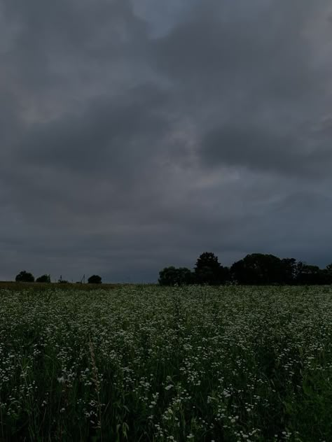 Overcast Sky Aesthetic, Overcast Weather Aesthetic, Moonson Season, Windy Weather Aesthetic, Overcast Aesthetic, Stormy Weather Aesthetic, Overcast Weather, Dark Weather, Dark Forest Aesthetic