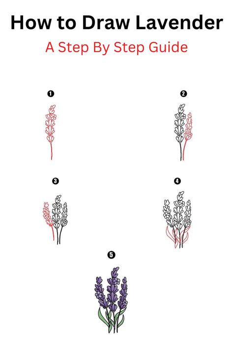 How to Draw Lavender Draw Lavender Flowers, Draw Lavender, Lavender Drawing, Kinds Of Flowers, Cool Drawing, Doodle Paint, Boring Life, African Violets, Natural Gifts