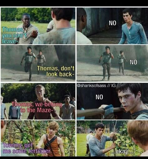 Runner Jokes, Maze Runner Thomas, Maze Runner Trilogy, Maze Runner Funny, Maze Runner Imagines, Maze Runner Cast, Maze Runner Movie, Newt Maze Runner, Maze Runner Series