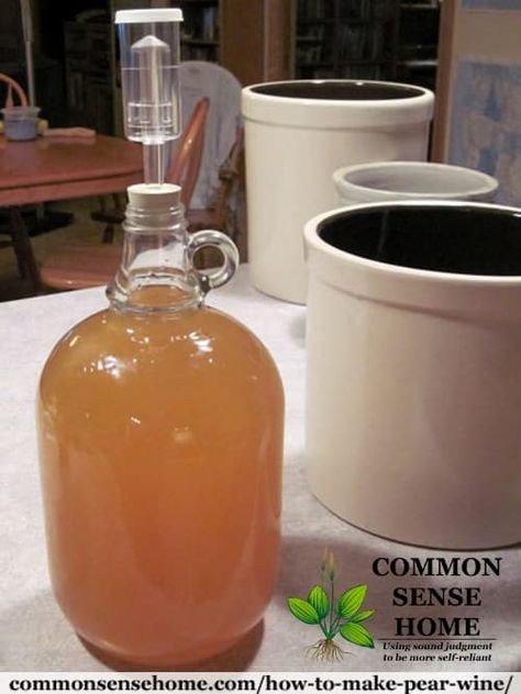 Pear Wine Recipe, Rhubarb Wine, Pear Wine, Fish In The Water, Wine Making Recipes, Homemade Wine Recipes, Lilac Wine, Wine Yeast, Homemade Alcohol