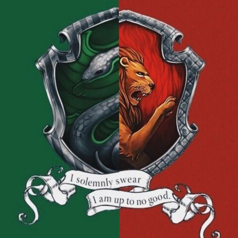 I'm a gryffindor and slytheirn rising.💚❤️💚❤️ Slytherin X Gryffindor, Gryffindor X Slytherin, Slytherin And Gryffindor, Gryffindor And Slytherin, Harry Potter Portraits, Slytherin Gryffindor, Gryffindor Slytherin, Harry Potter Poster, Harry Potter Illustrations