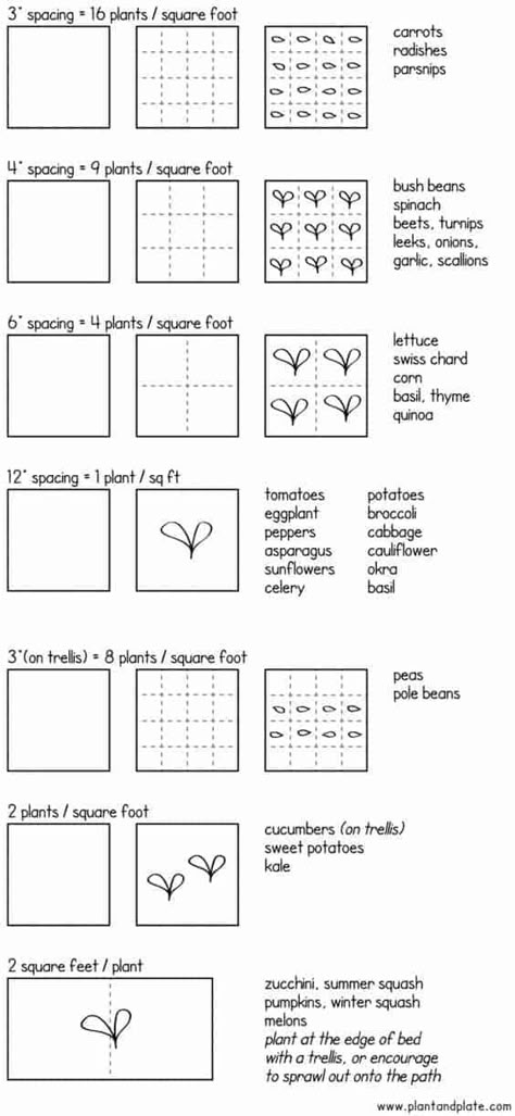 Square foot garden spacing and plans Garden Spacing, Plantarea Legumelor, Square Foot Garden, Vegetable Garden Beds, Funny Vine, Garden Layout Vegetable, Small Backyard Gardens, Urban Farm, Square Foot Gardening