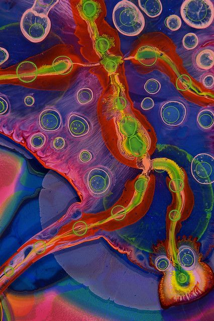 Bruce Riley, Microscopic Photography, Sensory Art, Bio Art, Photographie Portrait Inspiration, Resin Painting, Jolie Photo, Science Art, New Wall