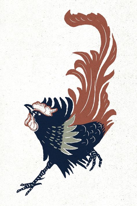 Vintage colorful rooster bird hand drawn | free image by rawpixel.com / busbus Rooster Drawing, Rooster Illustration, Colorful Rooster, Vintage Chicken, Free Illustration Images, Animal References, Red Rooster, Animal Patterns, Chicken Farm