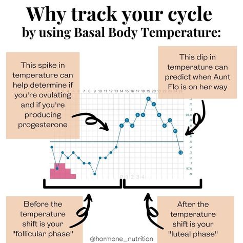 Have you ever heard of Basal Body Temperature? And how you can track your cycle with it? First off I like to use @kindara_fertility app to track my cycle. I just find that it's the most user friendly and it lays everything out very simply. I personally use @tempdrop to take my basal body temperature. This is a wearable thermometer and it makes life soooo easy when you're tracking your temps. I also have a discount code for 10% off in my bio if you're interested! But if you're just getting starte Basal Body Temperature Chart, Track Your Cycle, Hormone Nutrition, Follicular Phase, Basal Body Temperature, Luteal Phase, Temperature Chart, Track Cycling, Hormone Health