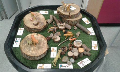 Positional language EYFS Positional Language Eyfs Activities, Positional Language Eyfs, Maths Nursery, Africa Activities, Math Wizard, Class Promise, Gruffalo Activities, Ece Activities, Positional Language