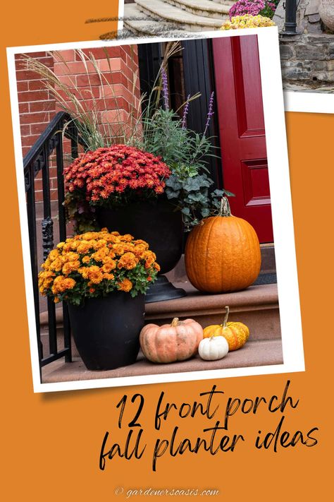 front porch fall planter ideas Faux Plants For Front Porch Fall, Porch Mums And Pumpkins, Mums Front Porch Fall Displays, Fall Outdoor Planter Ideas, Fall Containers Planters, Fall Planter Ideas, Fall Potted Plants, Mum Planters, Mums And Pumpkins