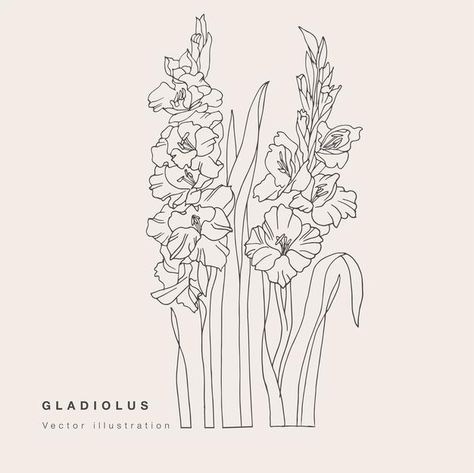 Light Pink Walls, Draw Vector, Gladiolus Flower, Illustration Botanical, Calla Lily Flowers, Flower Close Up, Flowers Illustration, Floral Card, Hand Draw