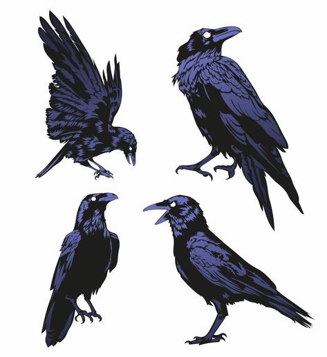 Crow Vector, Raven Vector, Crow Flying, Crows Drawing, Crow Tattoo, Crow Art, Black Birds, Raven Art, Clipart Silhouette