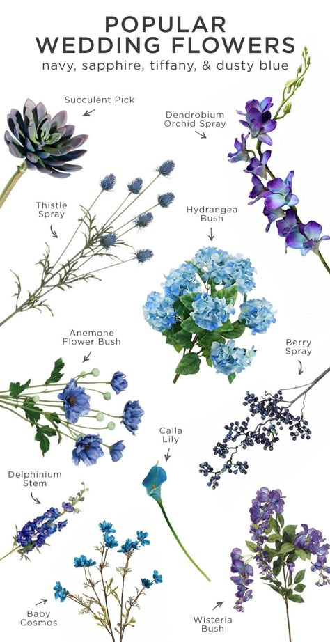 Flowers And Their Names, Popular Wedding Flowers, Wedding Flow, Blue Beach Wedding, Navy Wedding Flowers, Blue Succulents, نباتات منزلية, Flower Guide, Blue Wedding Flowers