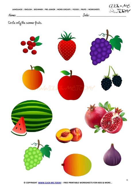 Fruits Worksheet 6 - Circle only the summer fruits Circle The Fruits Worksheet, Soal Tk, Seasons Worksheets, Shape Activities, Shape Activities Preschool, Kindergarten Activity, Cvc Words Kindergarten, Happy Teacher, Preschool Classroom Decor