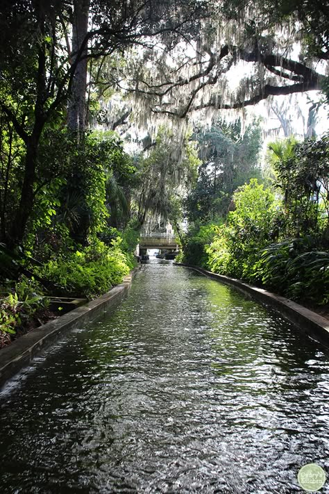 Things to see & do in Winter Park, Florida - Cadry's Kitchen Vintage Florida Aesthetic, Winter Springs Florida, Florida Vacation Destinations, Spring Break Florida, Winter Park Orlando, Florida Vibes, Destin Florida Vacation, Winter Garden Florida, Winter Haven Florida