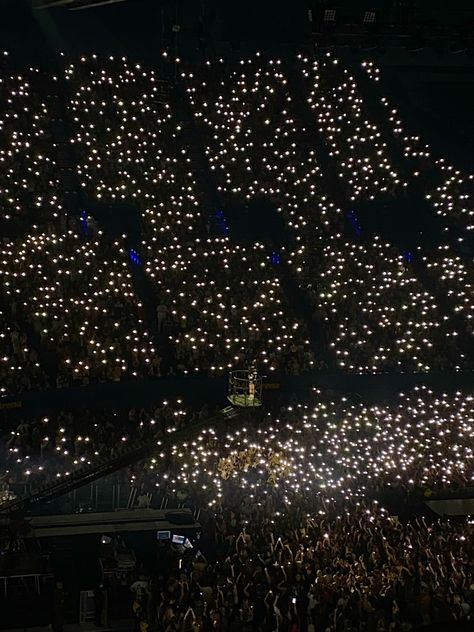 Billie Concert Aesthetic, Billie Eilish Core Aesthetic, Billie Eilish Concert Aesthetic, Concerts Aesthetic, Singer Lifestyle, Billie Core, Billie Concert, Concert Crowd, Aesthetic Concert