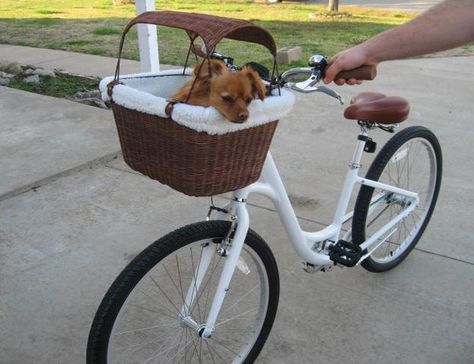 Pet Bike Basket, Dog Bike Carrier, Dog Bike Basket, Biking With Dog, Bicycle Basket, Dog Basket, Basket And Crate, Bike Basket, Dog Items